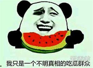 吃瓜战队什么意思,网络热词背后的文化现象